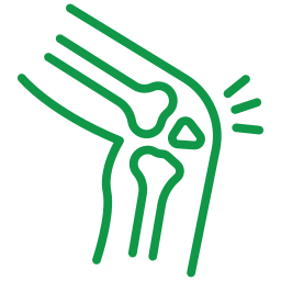 Knee joint and bone health icon.