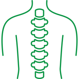 Human spinal column and back anatomy icon.